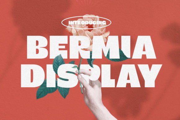 Elevating Visual Identity with the Bold Elegance of Bermia