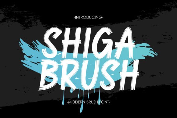 Shiga Brush: A Bold Display Font for Modern Brands